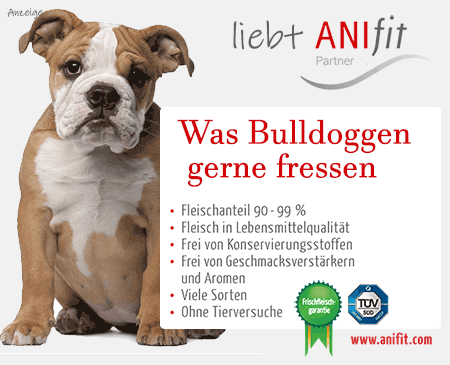 was wiegt eine ausgewachsene franzosische bulldogge